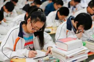 学科平台：提升学习效果的利器