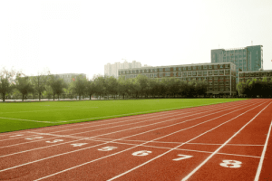 通城一典：传承千年的文化瑰宝