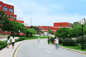 中学数学学科网- 提升数学学习效果的综合平台