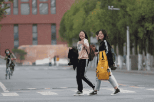 学科网官网:全方位学科资源一站式服务