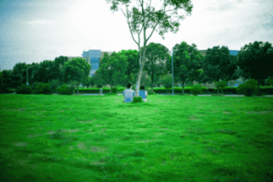 ‘中小学学科网’：学习乐园的指引