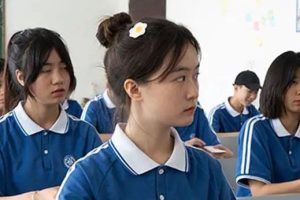 拥抱进步：中学语文学科网的重要性